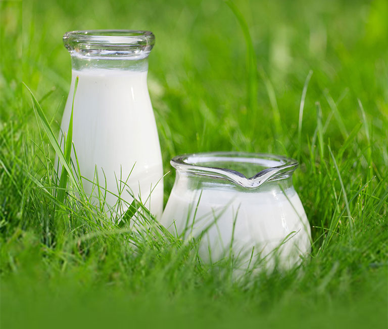 Desi Cow Milk & Products